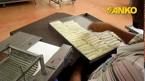 SR-24 Spring roll rolling process