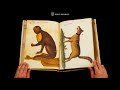 The natural history atlas of philipp ii  pomar codex  browsing facsimile editions 4k  u.