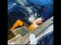 هجوم تمساح على رجل عالق على القارب التمساح يعطي الإنسان هجوم تمساح على رجل عالق على القارب التمساح يعطي الإنسان