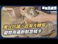 半夜急診沒藥醫？寵物用藥新制註銷內幕！獸醫用人藥「合法使用卻違法購買」｜直擊50隻貓浪浪志工淚訴 立委萬人抗議背後：別讓毛孩等不到藥｜新聞高峰會｜華視新聞 20260628｜毛小孩 藥事法