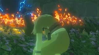 Breath of the Wild: Magda, the Crazy Flower Lady (Cemu 1080p 60fps)