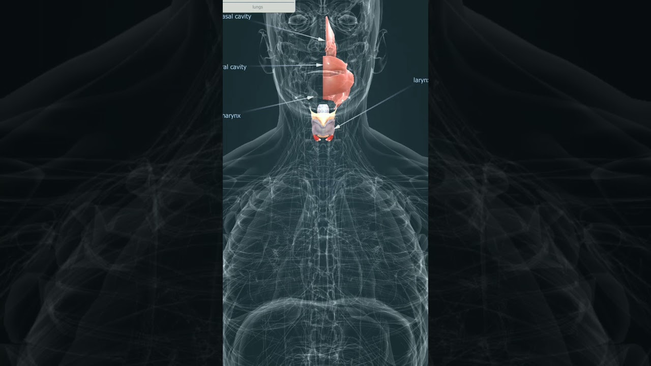 Human heart system! Thinking skill channel