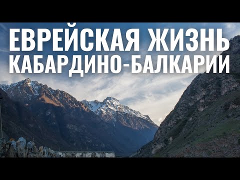 Видео: Коркодил