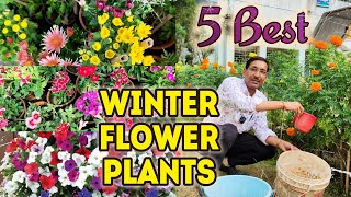 5 Best Winter Season Flower Plants you must Grow in Your Garden
Winter season flower garden plants
#Winter #Flower #Plants 5 Best Winter Season Flower Plants you must Grow in Your Garden