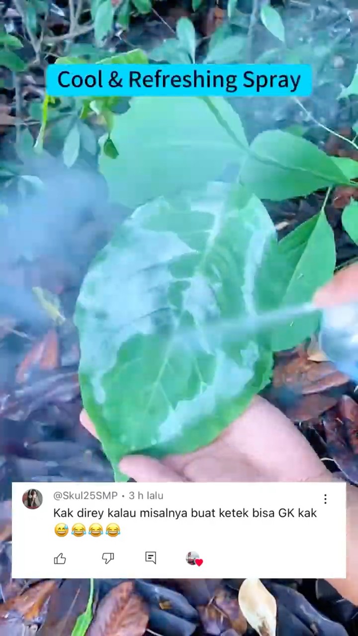 NGAKAK? SEMPROTAN SALJU BUAT KETEK