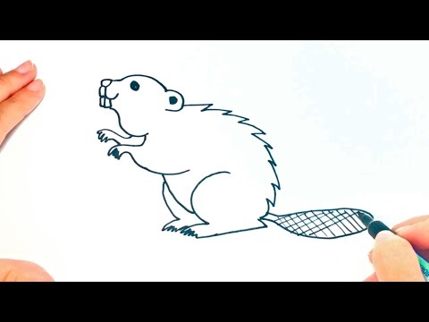 Video: Cómo Dibujar Una Marmota