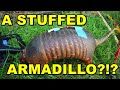 Trash picking, NYC subway signs, rusty scrap metal and a taxidermied armadillo