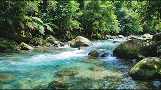 Serene River Flow Sounds 🌿 Natural White Noise for Calm
