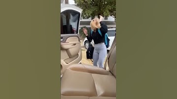 Horn Prank Shorts Part 8 #hornblasters #loud #pranked #trainhorn #laugh #friends #car #truck #scare