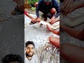5 क का बाम मछली #fishing #fish #bigfish #vlog #funny #food