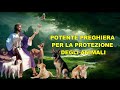 POTENTE PREGHIERA PER LA PROTEZIONE DEGLI ANIMALI