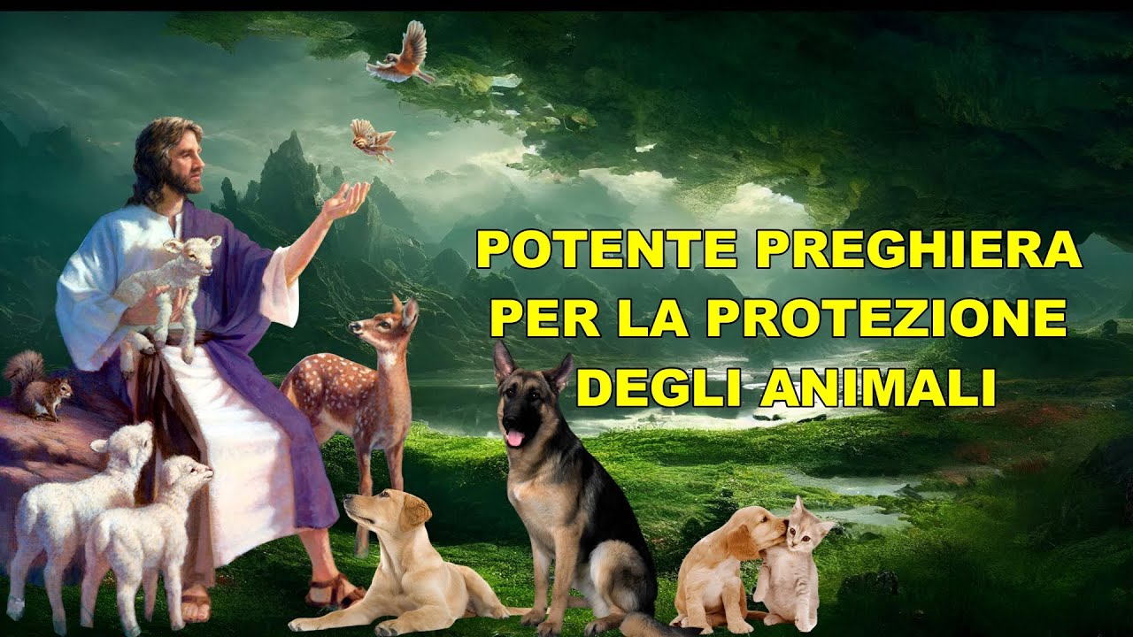POTENTE PREGHIERA PER LA PROTEZIONE DEGLI ANIMALI - YouTube