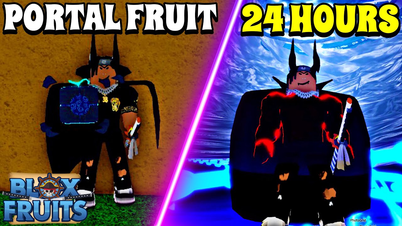 Noob to Pro Using PORTAL FRUIT - Bloxfruits 