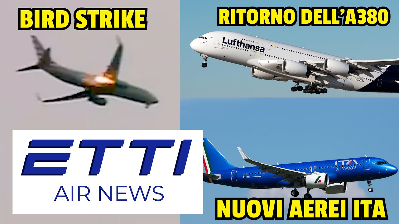 BIRD STRIKE SU 737 AMERICAN, IL RITORNO DEGLI A380 ED I NUOVI AEREI ITA - ✈️🗞️ EttiAirNews