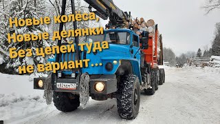 Новые колодки | Новые колёса | Новые делянки.