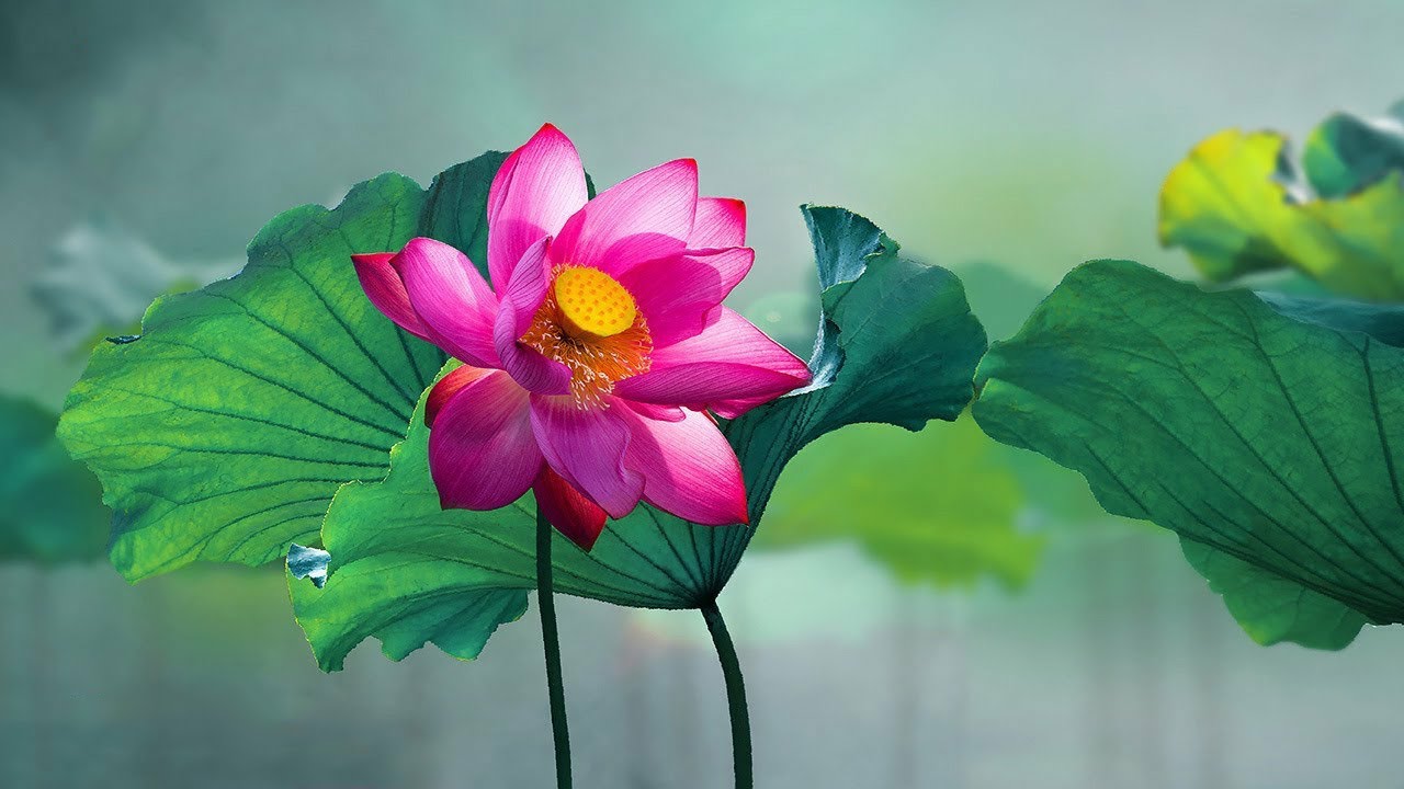 The Sound of Inner Peace 23 | Singing Bowls, Healing Sounds of Tibet ...