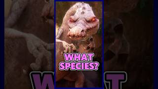 What Species Is Rudy From Ice Age 3?