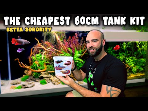 Cheapest 60cm ALL
