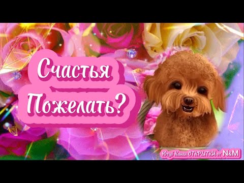 🌹Доброго Дня Отличного Настроения! Открытки Добрый День!