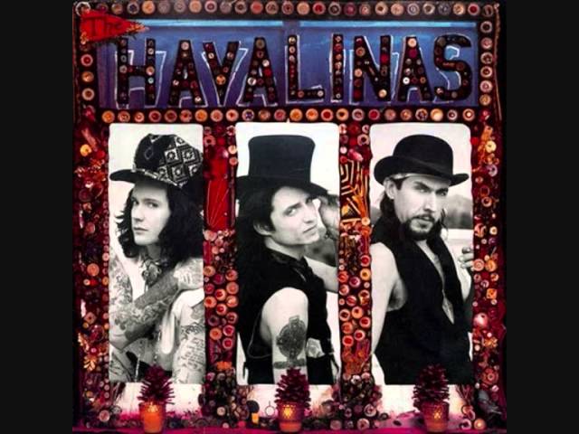 The Havalinas - Sticks and Stones