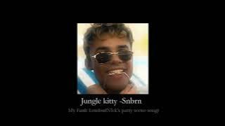 Jungle kitty-Snbrn (my fault london - nick's party scene music)
