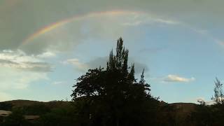 Colorido Arcoíris Visto Desde el Jardín