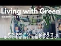 【観葉植物のある暮らし】我が家のグリーン全部見せ｜狭くても垢抜ける飾り方のコツ