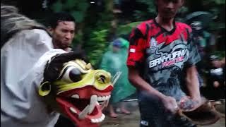 Macan Macanan jaranan Putro Maruto Budoyo live Karangsari licin