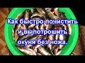 Как быстро почистить и выпотрошить окуня без ножа.