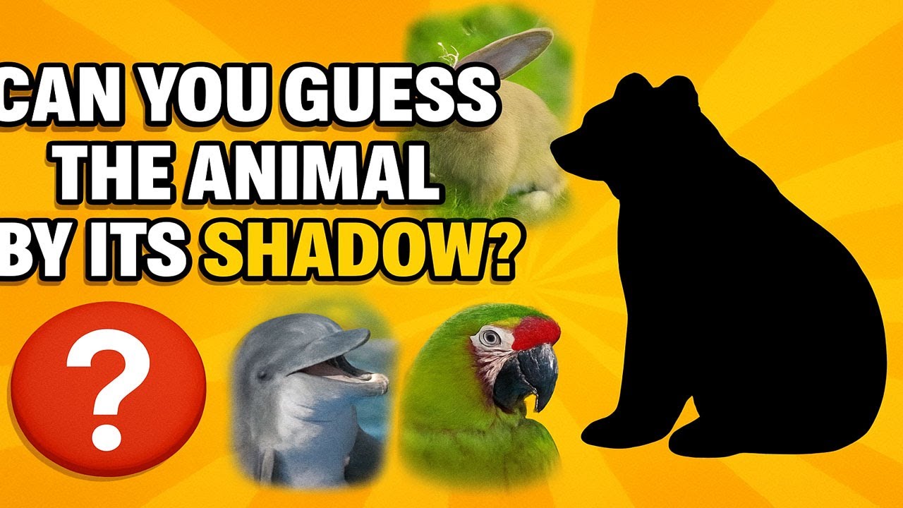 Can You Guess the Animal by Its Shadow? | Fun Quiz Challenge - YouTube