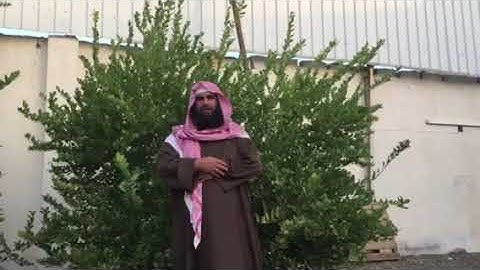 دحيم الحماد ١٤٤٠هـ تلاوة لأية الكرسي