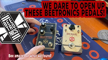 Inside the Beetronics Overhive and Buzzter pedals - YOU WON