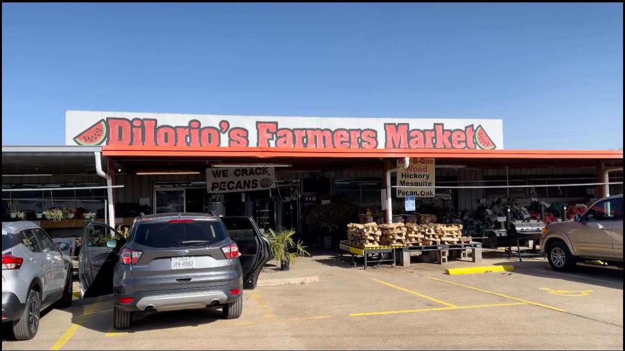 We Travel to Dilorio's Farmers Market Hempstead, Tx YouTube