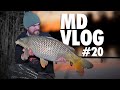 Md vlog 20 carp hustle