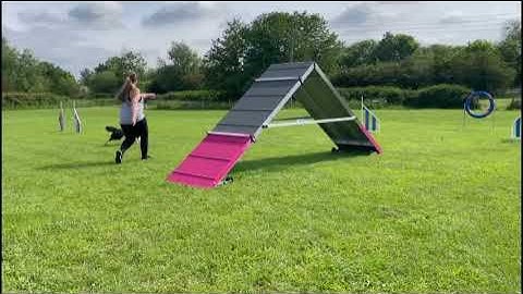 STRIDE REGULATOR - Galican