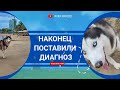 НАКОНЕЦ ПОСТАВИЛИ ДИАГНОЗ (27.05-02.06.2023)