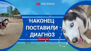 НАКОНЕЦ ПОСТАВИЛИ ДИАГНОЗ (27.05-02.06.2023)