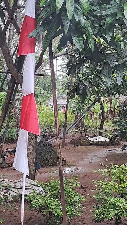 Ngejar suara basuri nyampe kocar-kacir 😂😂 #busmania #basuri