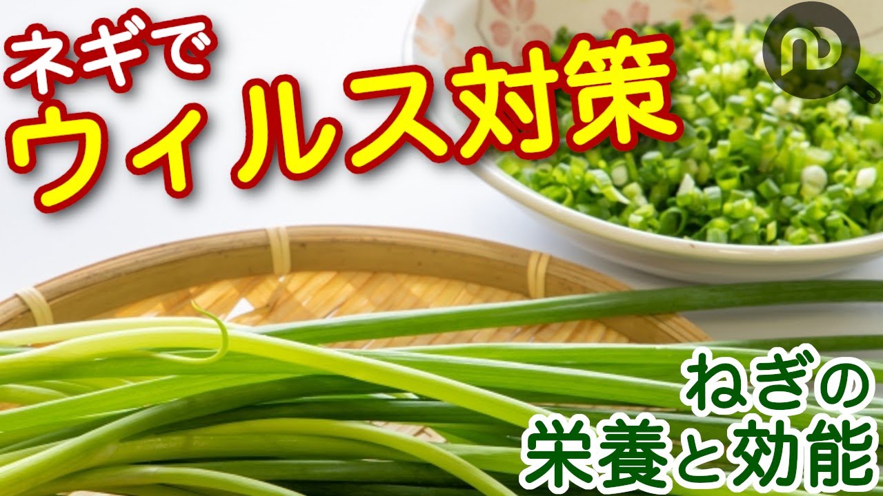 ネギの切り方5種 小口切り 白髪ねぎ みじん切りなどを紹介します N D Kitchen Youtube