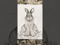 My daughter wanted us to draw last night. So I decided to draw her my favorite animal, a rabbit! 🐰