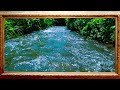 ⚡ SOOTHING SOUNDS‼️ Flowing River in Nature 🌿 Stress Relief | Nature Sounds