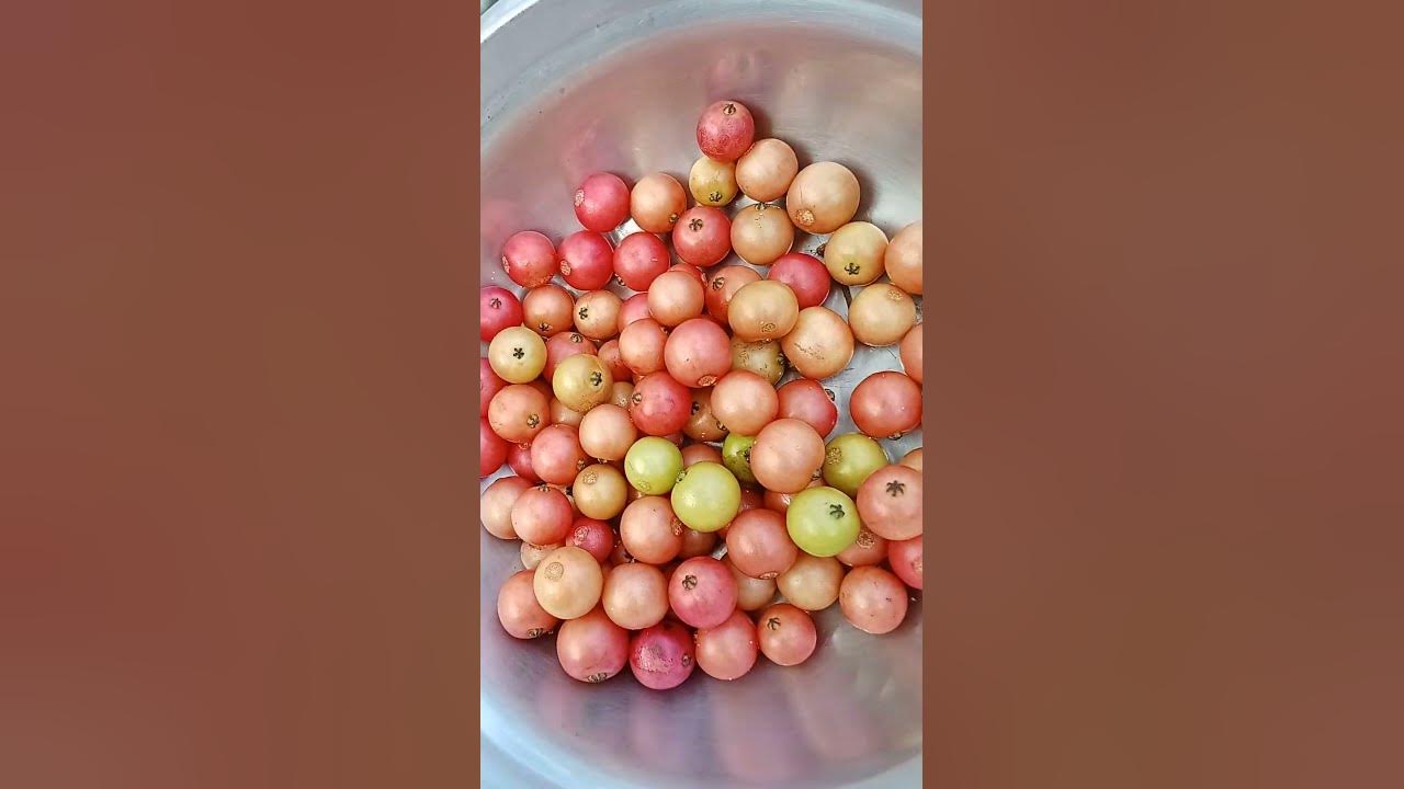 Alateris yummy😋😋🍒🍒🍒 - YouTube