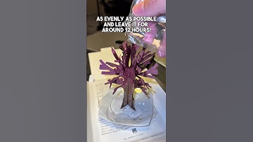 Thumbnail of Check out this viral #magictree #sakura #cherryblossom #japan #japanfinds #blooming
