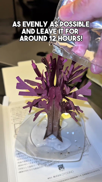 Download lagu Check out this viral #magictree #sakura #cherryblossom #japan #japanfinds #blooming