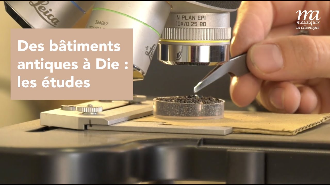 La fouille archéologique préventive : la phase post-fouille (Die, Pibous)