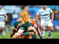 Previewing Pumas v Wallabies Game 2 - Rugby Championship 2022