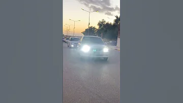 اكسنت ليبيا Virna ليبيا 2023 Shorts 