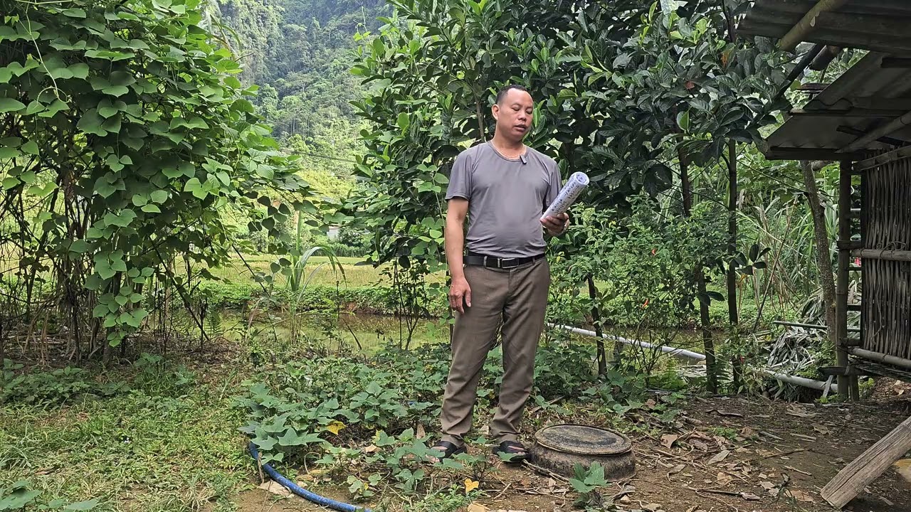 Cóng tồ nạn dung 