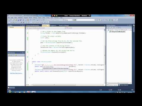 Integrating C# and FireMonkey