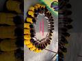 Lotus Formation | LKG Kids | St.Peter's Jagadevpur | #kidsactivities #playschool #jagadevpur #fun